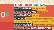 Festival Festival
