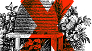 blog picture_ul